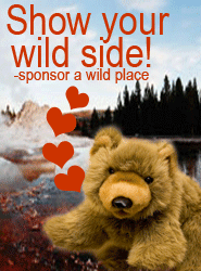 Sponsor a Wild Place this Valentines Day!
