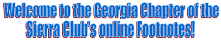 Georgia Chapter Online Footnotes