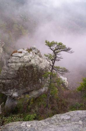 Linville Gorge, courtesy of Doug Strong