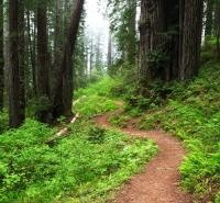 Sierra Club Trails