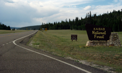 AZ-67 at Kaibab National Forest entrance (By Ken Lund)