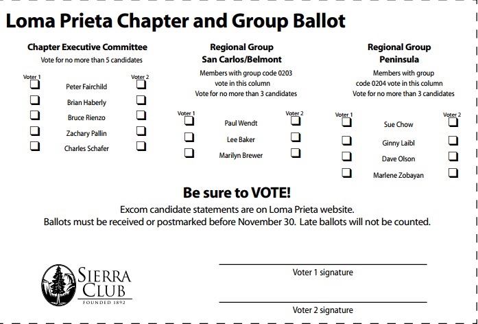 2013 ballot