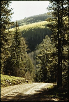 Forest Road, courtesy of EPA
