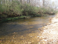 Fox Creek