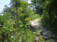 Frenchman's Bluff Trail