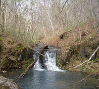 OT Blair Creek200.jpg