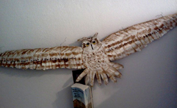 Owl created for mock border wall