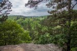 Paddy Creek Wilderness