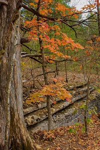 Piney Creek Wilderness