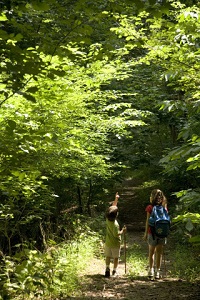 Two children hiking in woods USF&amp;W by Steve Hillebrand