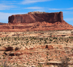 Grassroots Activism: Protecting Utah's Canyonlands -- Read more.