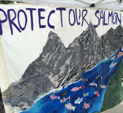 Grassroots Activism: Something's Fishy in Alaska