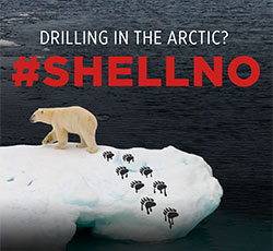 Tell President Obama to Say Shell No!