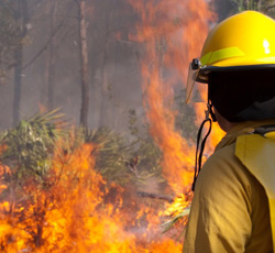 Take Action: Support Funding to Stop Megafires