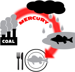 Mercury Pollution