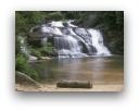 Panther Creek Falls waterfall