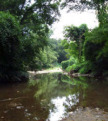 Peachtree Creek